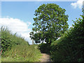 Chalk Lane, Shackleford