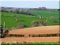 Fields near Liskeard