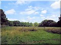 Bedeland Farm Local Nature Reserve