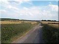 Lane and Crop Fields near Shirebrook