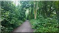 Bridleway Section of the North Downs Way