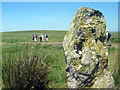 SN7549 : Maenhir Cefn Cnwcheithinog / Cefn Cnwcheithinog Standing Stone by Alan Richards