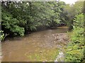 SX7253 : River Avon near Gara Bridge by Derek Harper