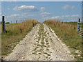 Farm access road off Chalk Lane