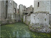 SO4108 : Raglan Castle - Moat - northwestern section by Rob Farrow