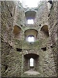SO4108 : Raglan Castle - Inside the Great Tower by Rob Farrow