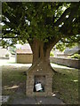 Public drinking fountain, Redmire