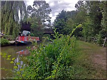 SP5968 : Canal by Watford Gap by Paul Harrop