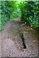SX8464 : Erosion, Tanyard Lane by Robin Stott