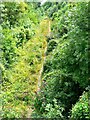 View south, disused railway trackbed, Swindon Village, Cheltenham