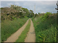 Footpath to Rhos y Clegyrn