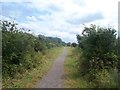 Line of Disused Railway near Creswell