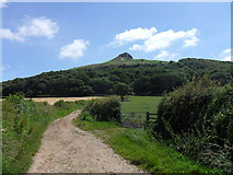 NZ5712 : Roseberry Topping by Anthony Foster
