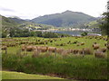 Looking towards Lochgoilhead and Ben Donich