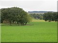 Fields, Leaburn