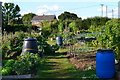 Allotment gardens at Sandleheath