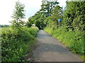 Bridleway north of Northycote Farm