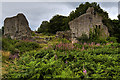 Caergwrle Castle (3)