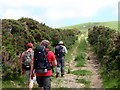 Llwybr Ffarm y Plas Farm Path