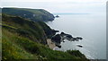 On the Wales Coast Path north of Llangrannog in July