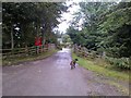 Weak bridge over the railway at Balconie, Evanton