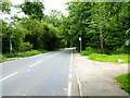 Bus stops on the A323