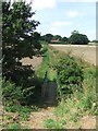 Footbridge And Footpath