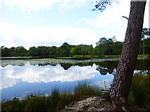 SU9353 : Henleypark Lake by Shazz