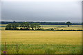 Fields at Kinpurney, Newtyle