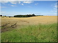 Harvest fields at Duffus