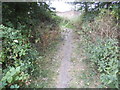 Path to Salmon Street in Fryent Country Park