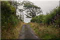 Lane through Blatchborough Plantation