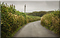 Unnamed lane near West Down Farm