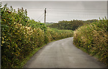 SS3014 : Unnamed lane near West Down Farm by J.Hannan-Briggs