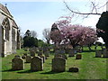 SP6401 : St Peter, Great Haseley: gravestones by Basher Eyre