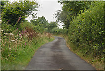 SS3016 : Lane near Little Dinworthy Farm by J.Hannan-Briggs