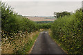 Unnamed lane towards Meddon