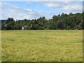 Barley, Drumdunan