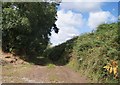 Farm track near Whitebear Cottage