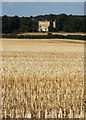 SK5479 : Stubble and Shireoaks Hall by Neil Theasby