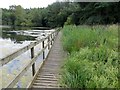 Walkway at Crompton Lodges