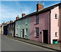 Pink and green in Presteigne