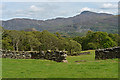 Fields near Tyddyn Felin