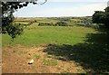 Cattle pasture by Sandheap Cross