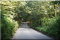 Lane through Buckland Wood