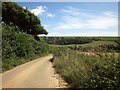 Footpath near Whitlocksworthy