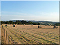 Evening hay bales