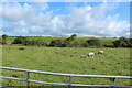 Farmland at Burnock Bridge