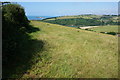 View towards the Avon Estuary