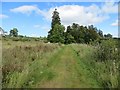 Strathspey Railway trackbed